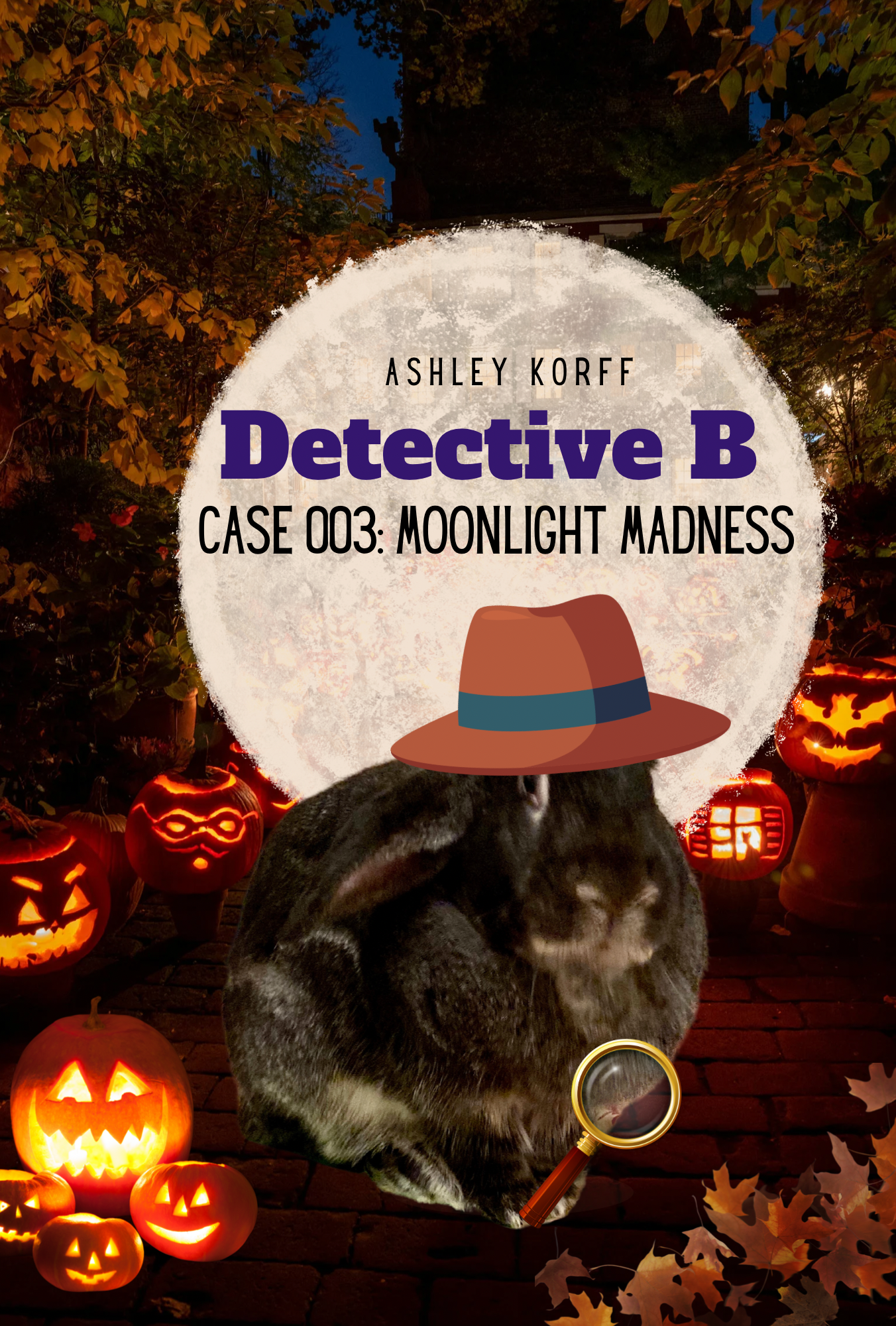 PREORDER: Detective B: Case 003: Moonlight Madness hardcover book