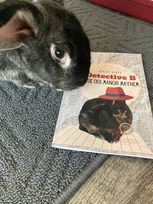 Detective B: Case 001: Manor Mayhem paperback book