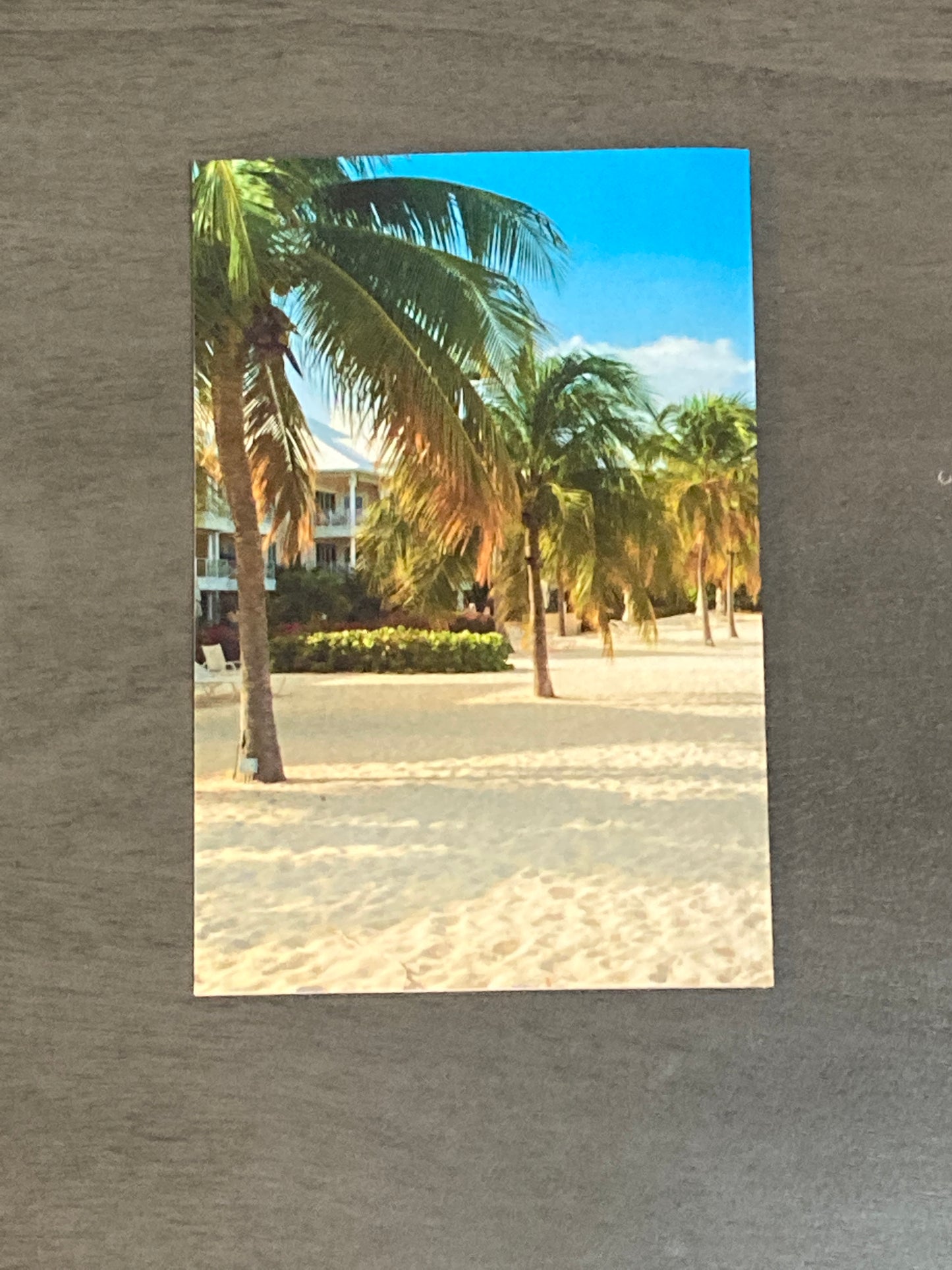 Detective B: Case 002: Cabana Chaos Paperback Book & Bookmark Gift Set