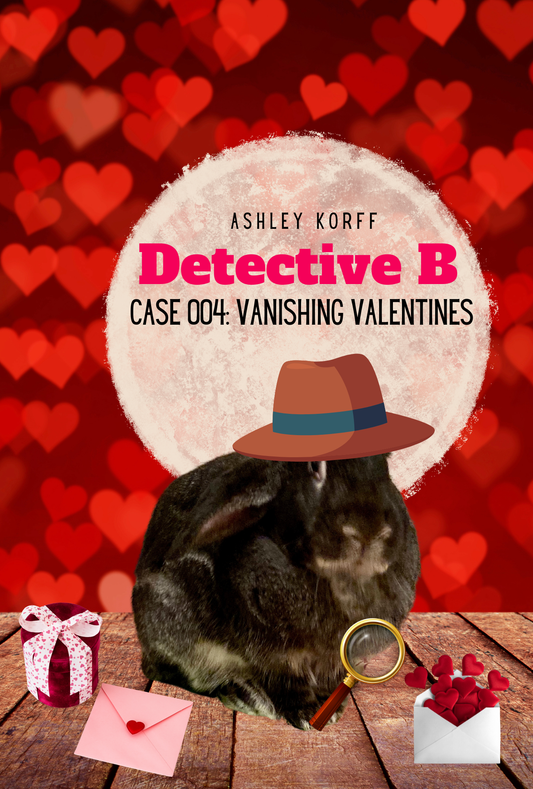 Case 004 Vanishing Valentines Hardcover Book