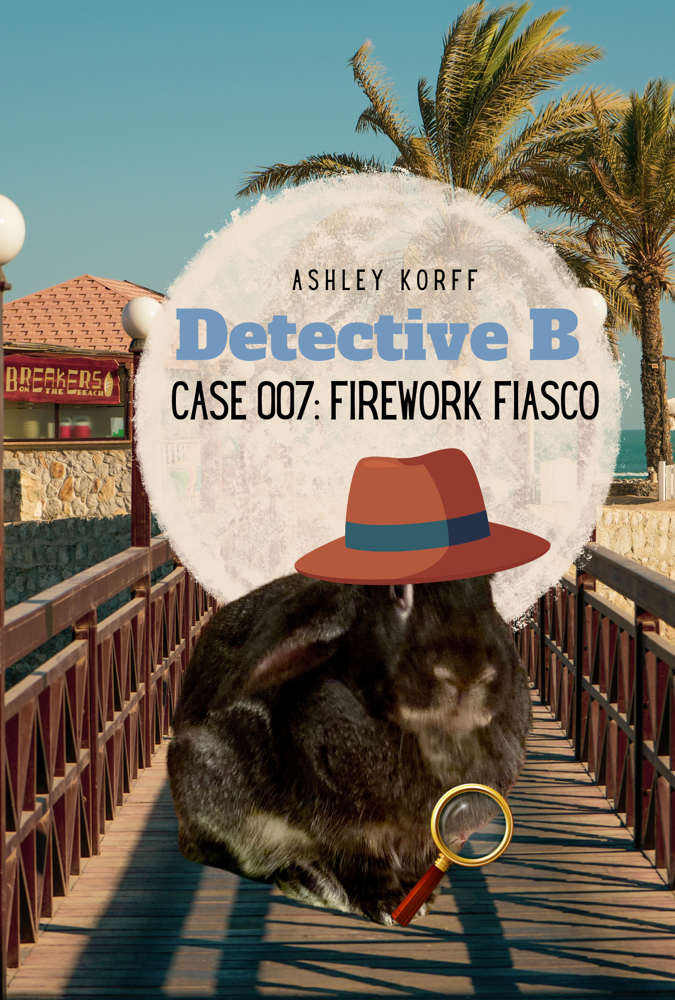Detective B: Case 007: Firework Fiasco Hardcover Book