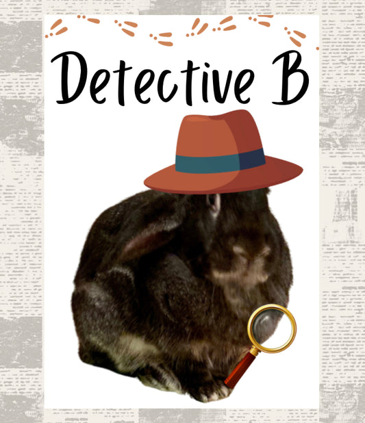 Premium Detective B Sherpa Blanket 50x60 inch